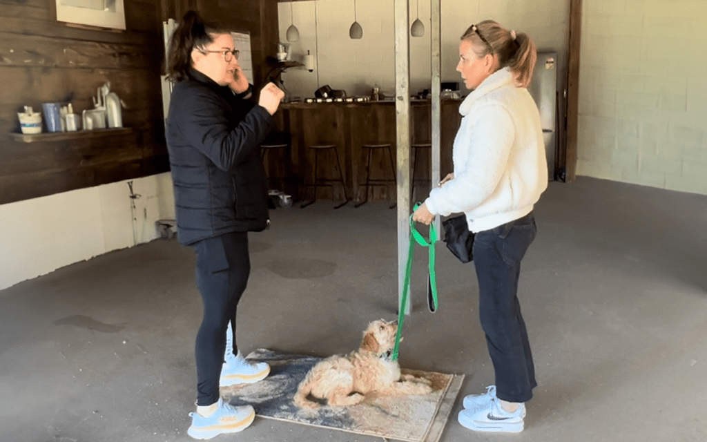 One on one dog training Private hourly lessons by appointment