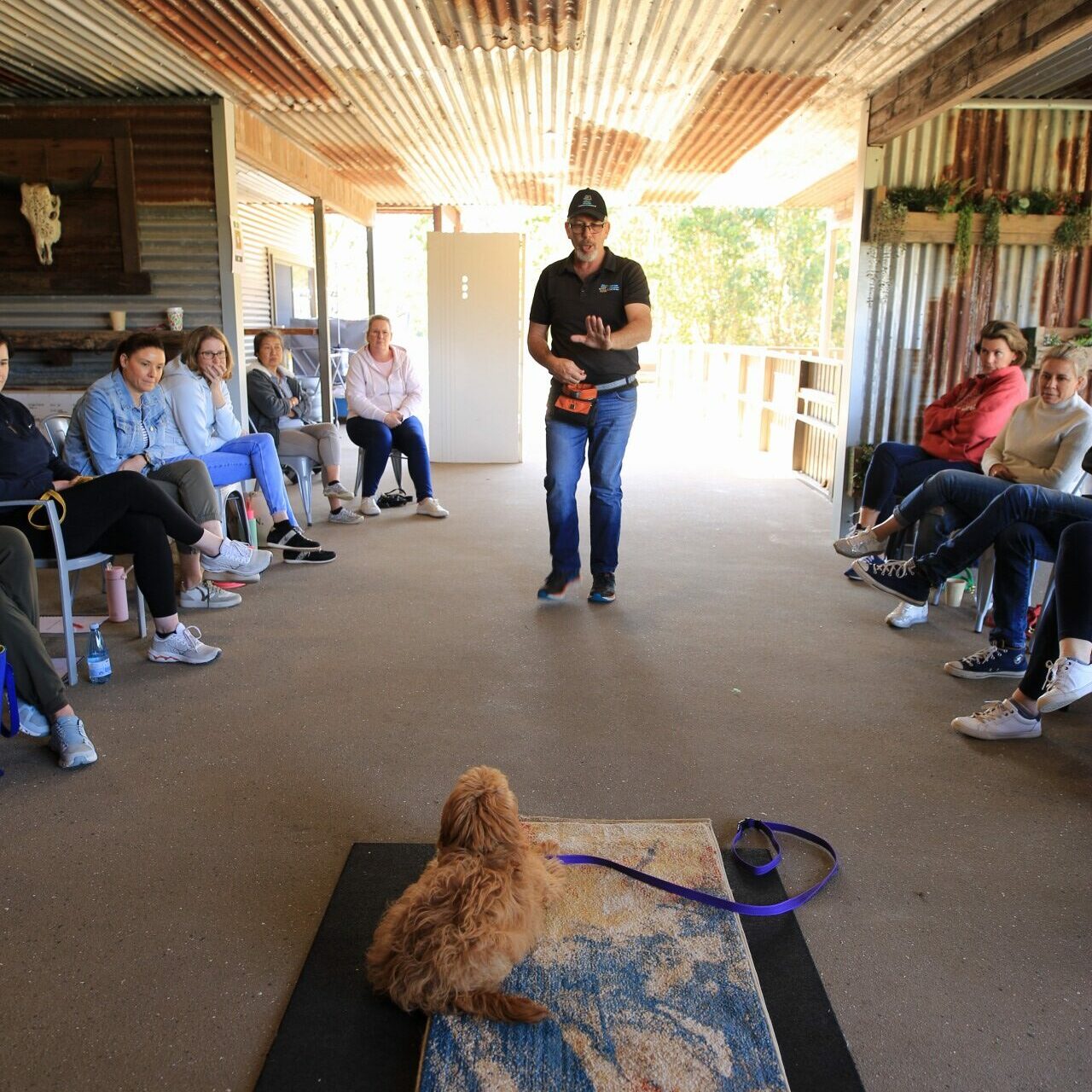 Intensive Obedience Dog Training Courses Intensive Obedience Dog Training Courses