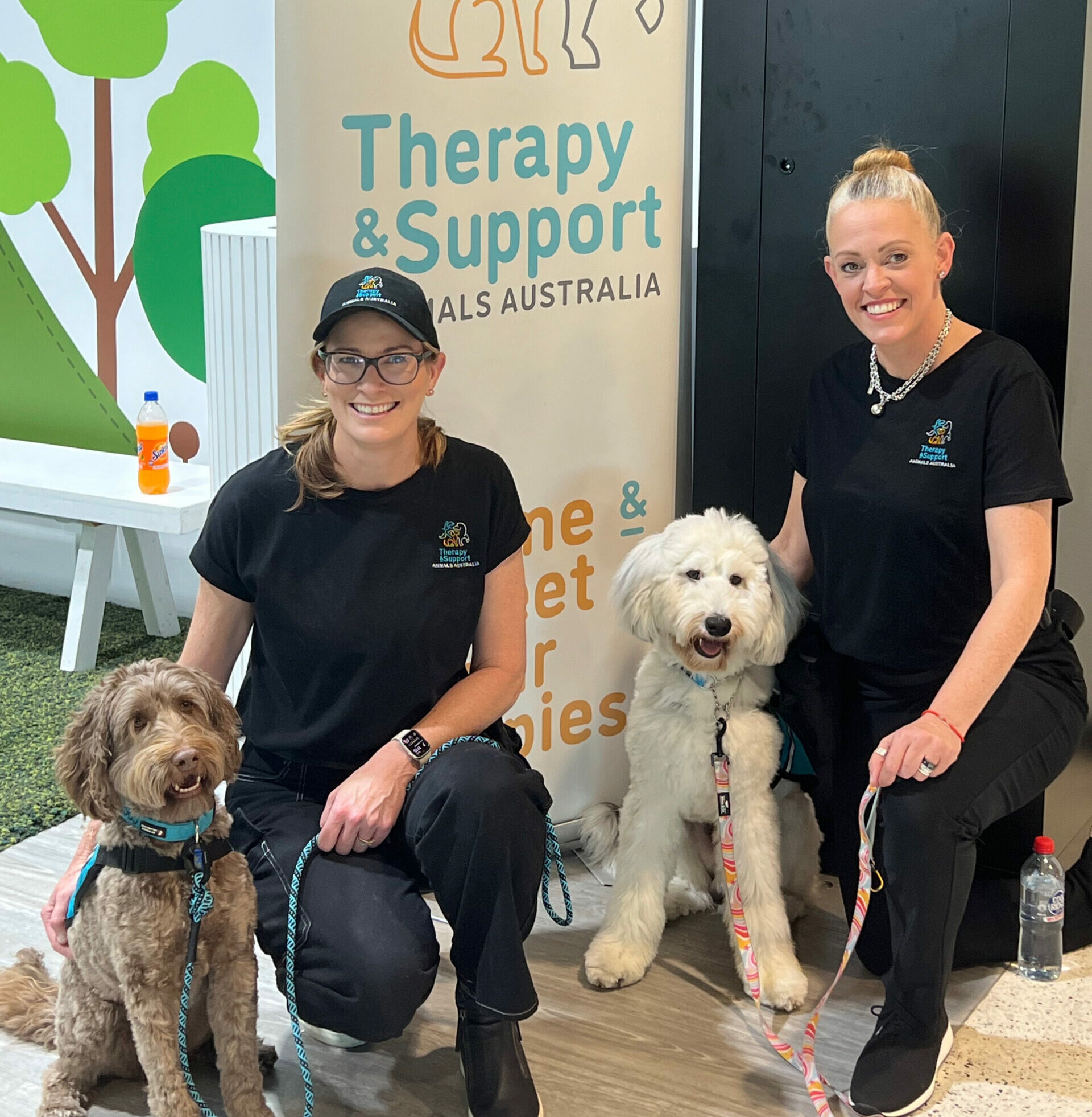 Therapy Dog Training and Certification