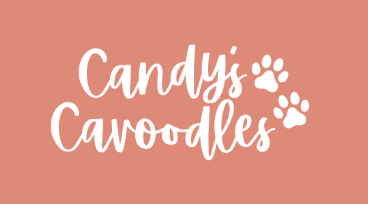 candyscavoodles