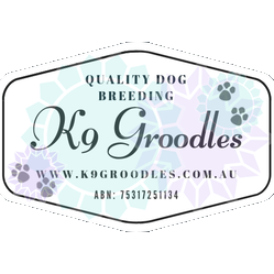 k9groodles