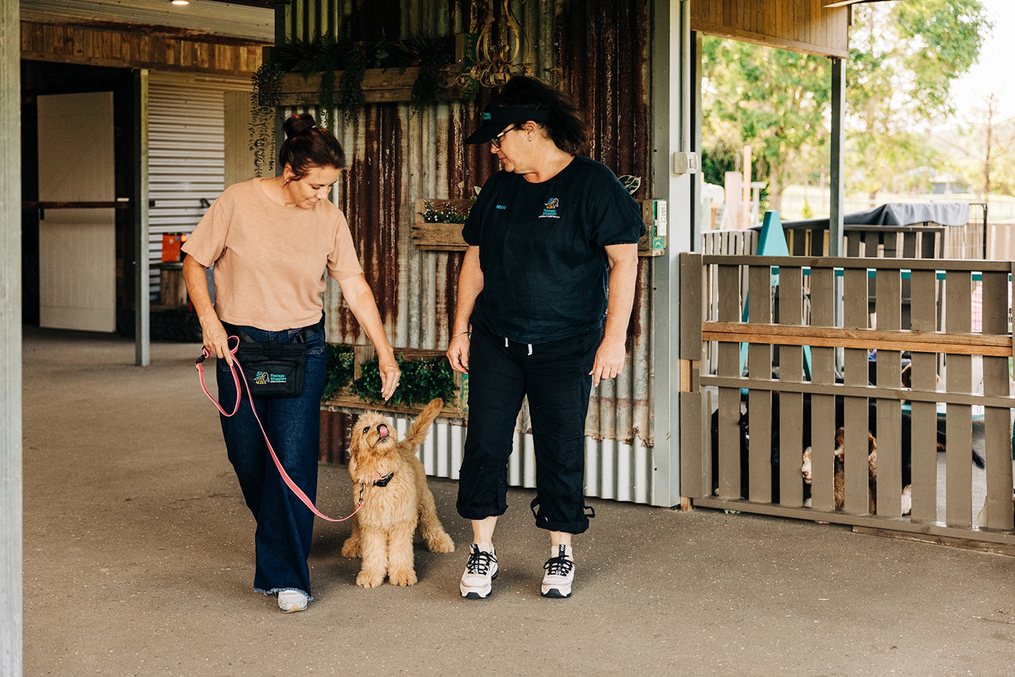 One on One Dog Training One on One Dog Training