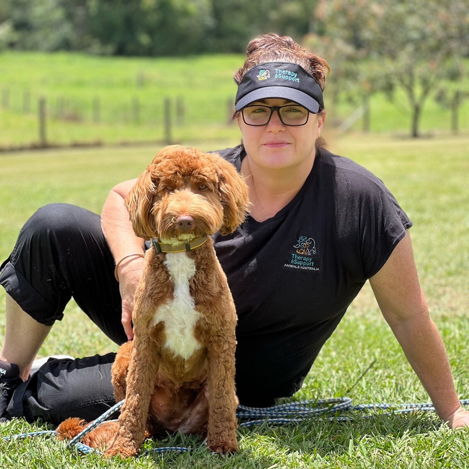 Breeder Stay and Train a Stay and train puppy training TASAA