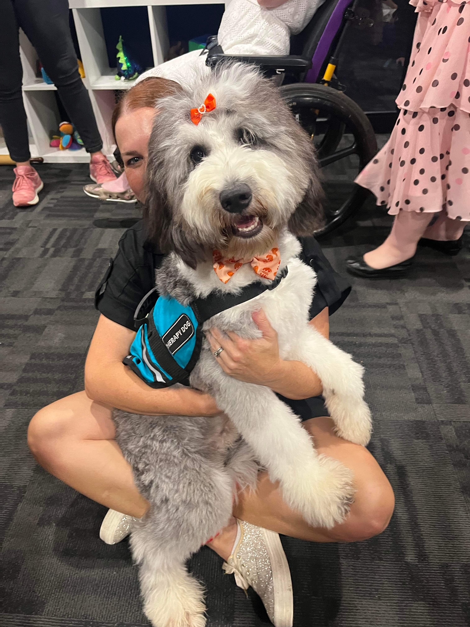 Therapy Dog Services Therapy Dog Services