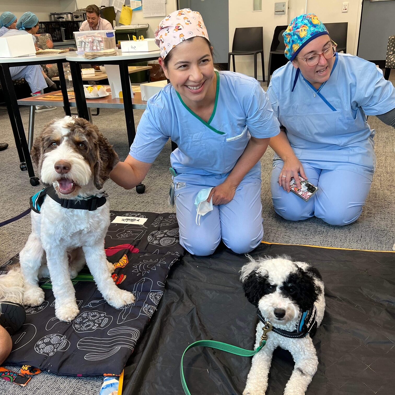 IMG_6995 Therapy dog services