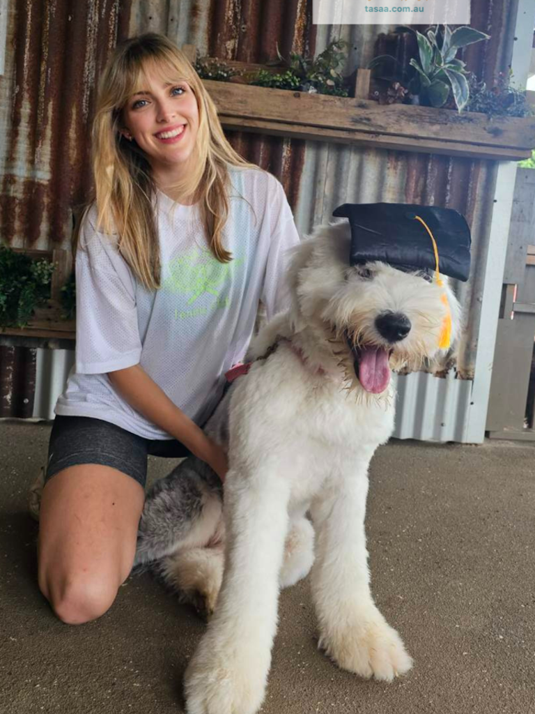 therapy dog training TASAA