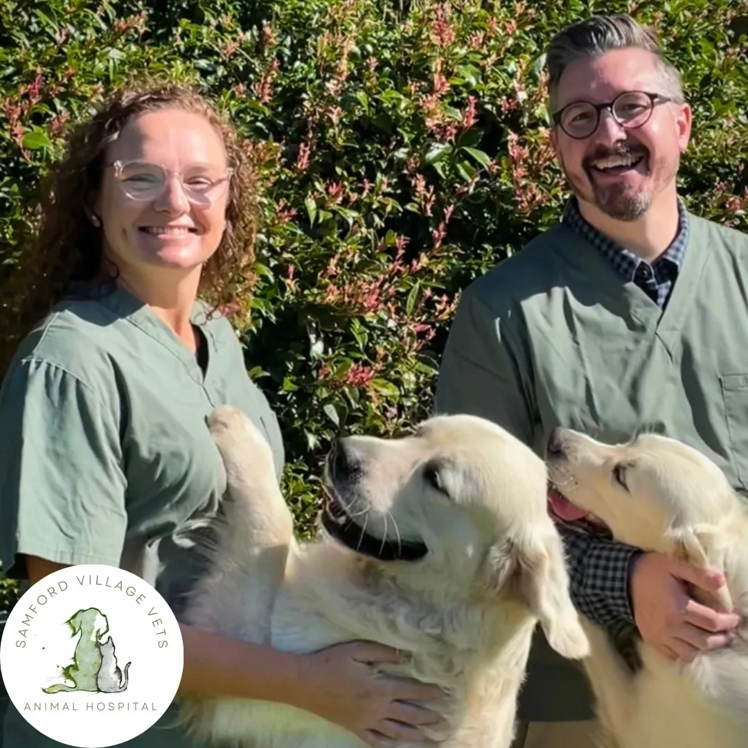 Puppy Clinic Samford Village Vets