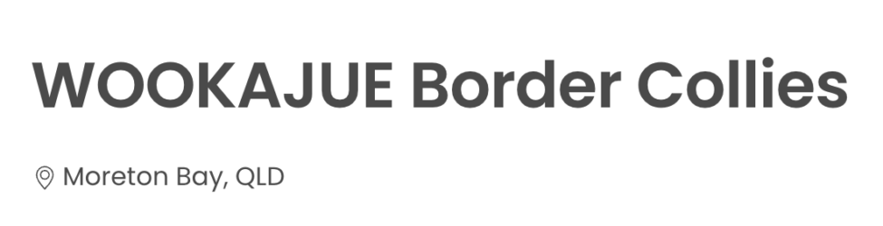 WOOKAJUE Border Collies